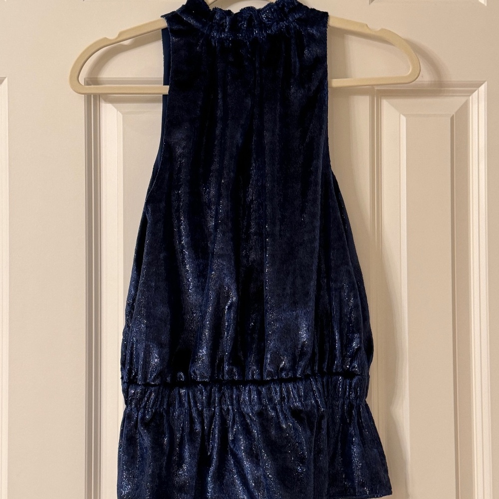 Ramy Brook blue velvet top